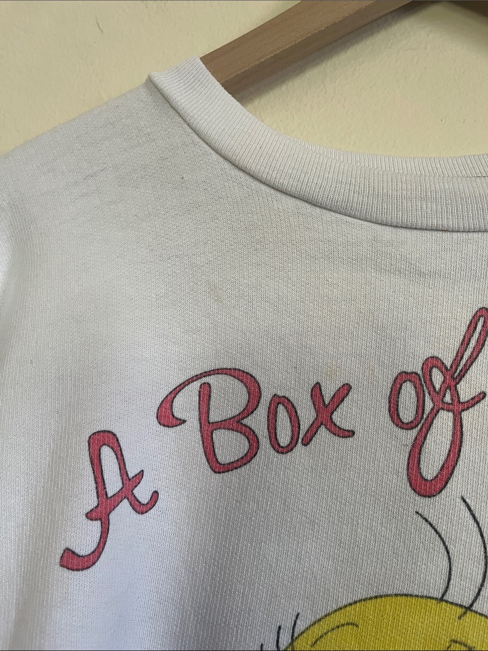 Warner Bros. Tweety 'A Box of Tweets' White Graphic Sweatshirt - Picture 5 of 11